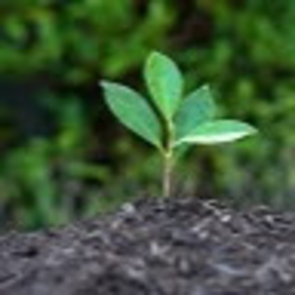 Meet your Posher, Mi - Picture 1 of 1